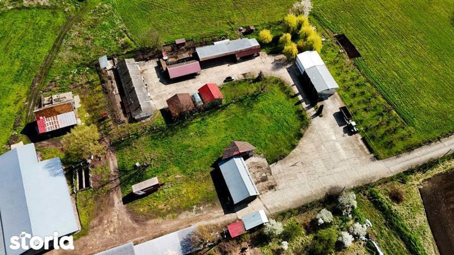 SE VINDE SAU SE INCHIRIAZA teren cu constructii Ludus - 5
