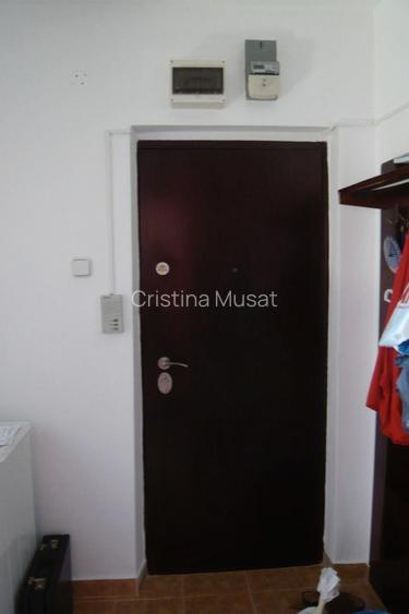 Dristor metrou-stradal Bulevardul Camil Ressu