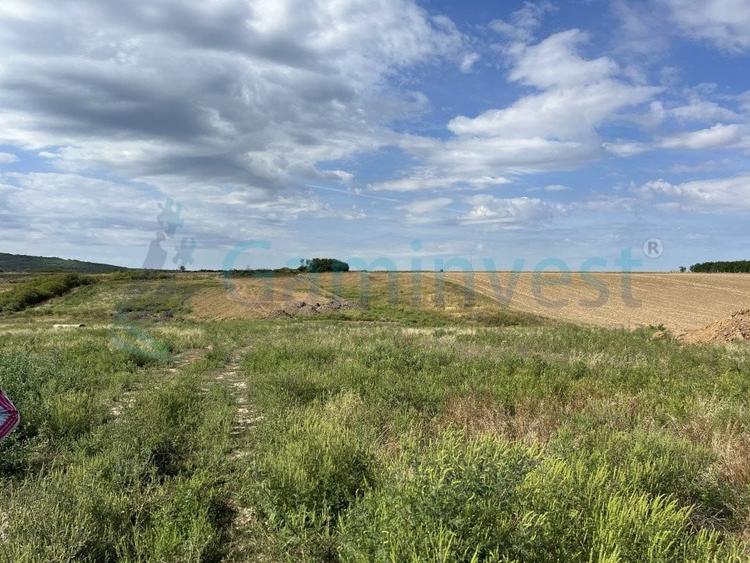 Teren intravilan de vanzare, Cheriu, Bihor - 3