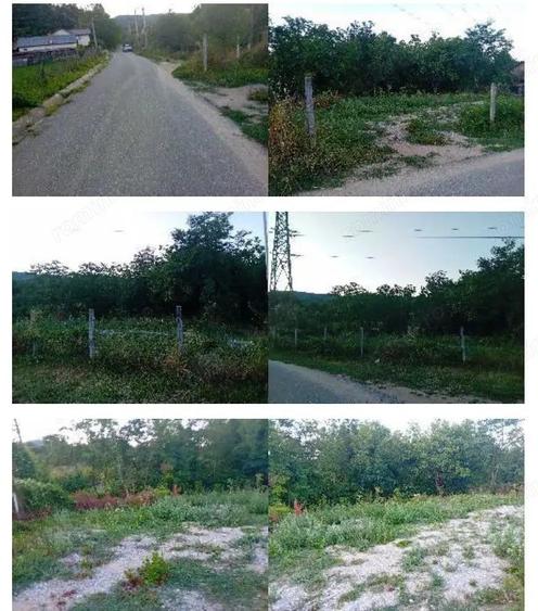 -teren intravilan, loc. Daesti, jud. Valcea - 3