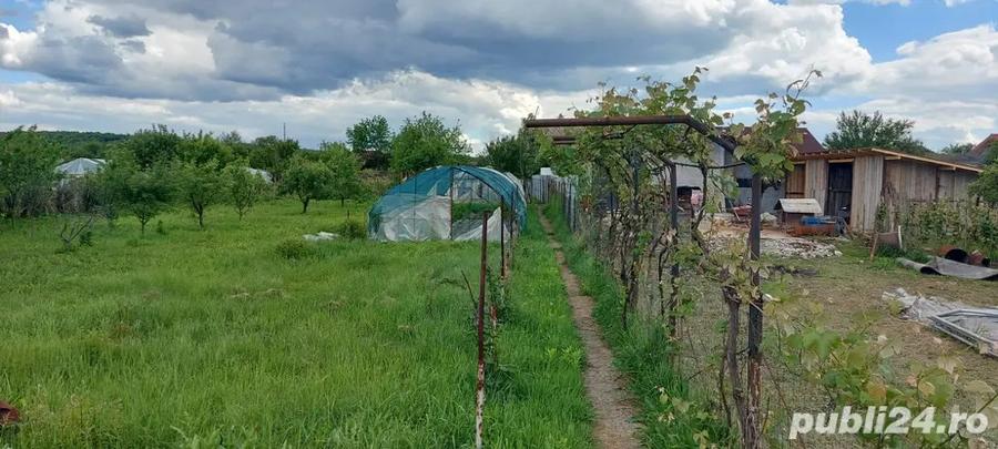 Propietare de vanzare - 2