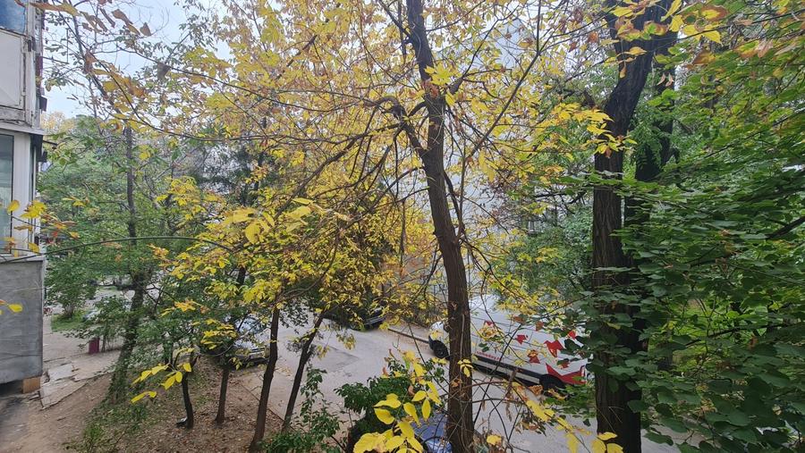 Apartament 2 camere Drumul Taberei / Bd. Timisoara - 12