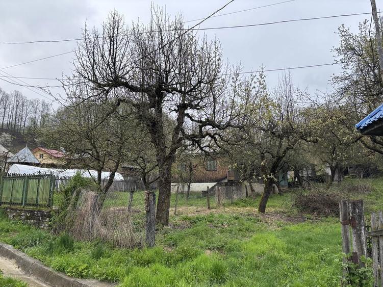 Vand casa si teren in Rau alb - 3