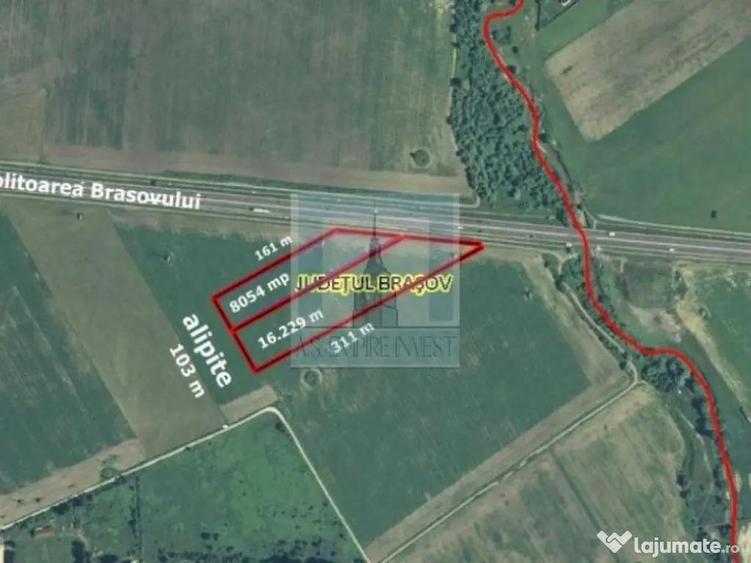 Teren intravilan 2,4 Ha - zona Tractorul (Rulmentul) - 3