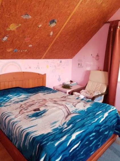 Vând casă P+M și teren în Dofteana, jud. Bacău - 7