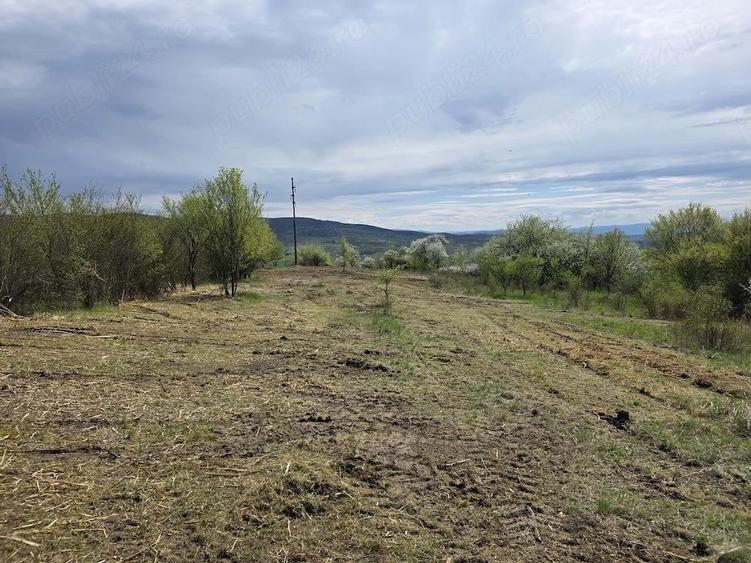 De vanzare teren intravilan 6704 mp Barsau, jud. Hunedoara - 4