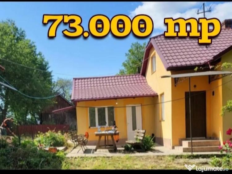 Casa cu teren 7.3 hectare Suceava - 10