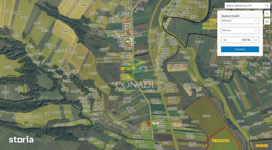 Teren cu deschidere la DN13 Maierus, Brasov - 7