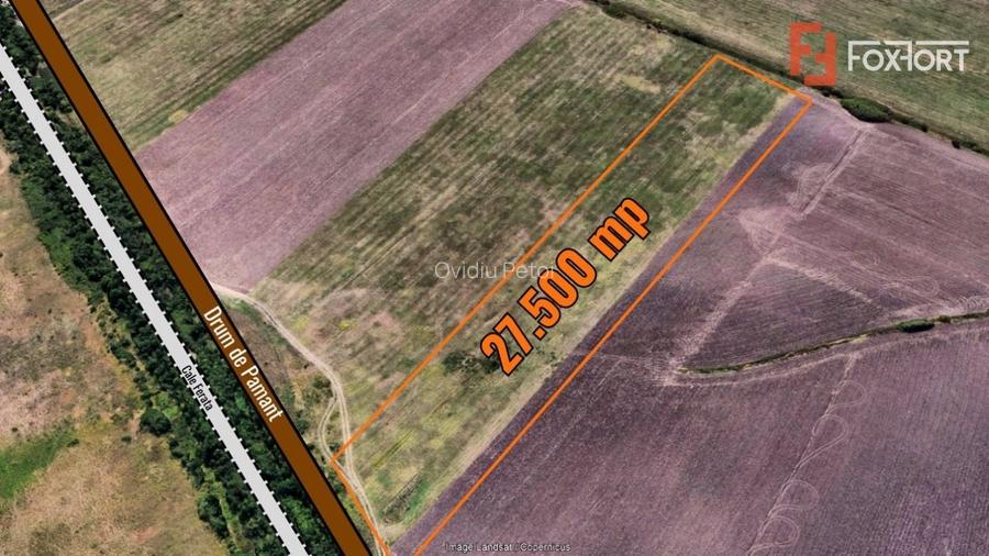 Teren extravilan 27.500 mp de vanzare in Timisoara-Zona Exterior Vest Mehala