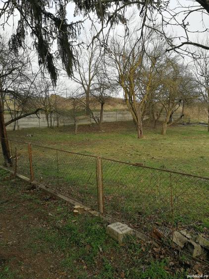 Va d casa la tara 5800 mq - 2