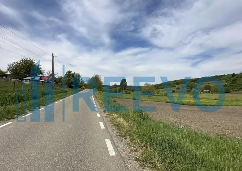 Teren de vanzare, Sat Valea Mare, Com. Ro?iori, Bacau - 9