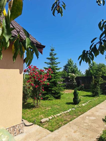 Casa cocheta Ciorogarla, Jud. ILFOV - 6