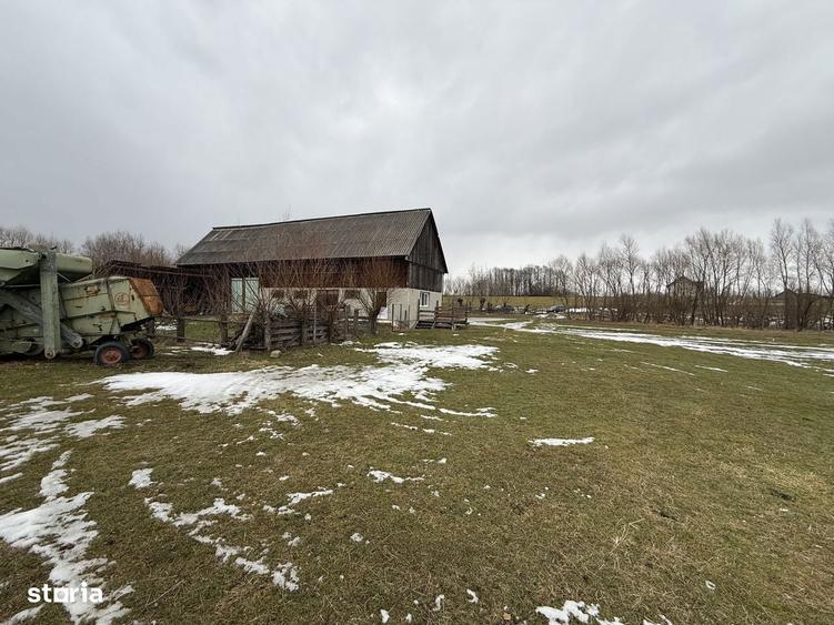 Teren extravilan | Horodnic De Sus | 3600MP - 8