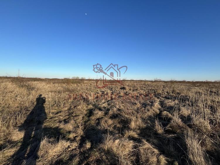 Zona Urban Village, aproape de centura | 20 euro/mp | Mosnita Veche - 4