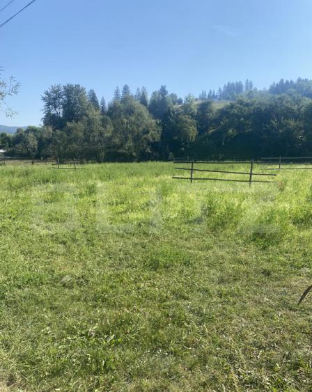 Teren in Doroteia, Plutoni?a, 3880 mp, intravilan - 2