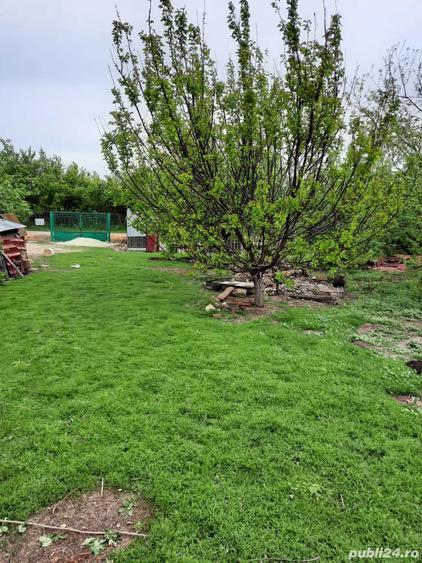 casa de vanzare - 2