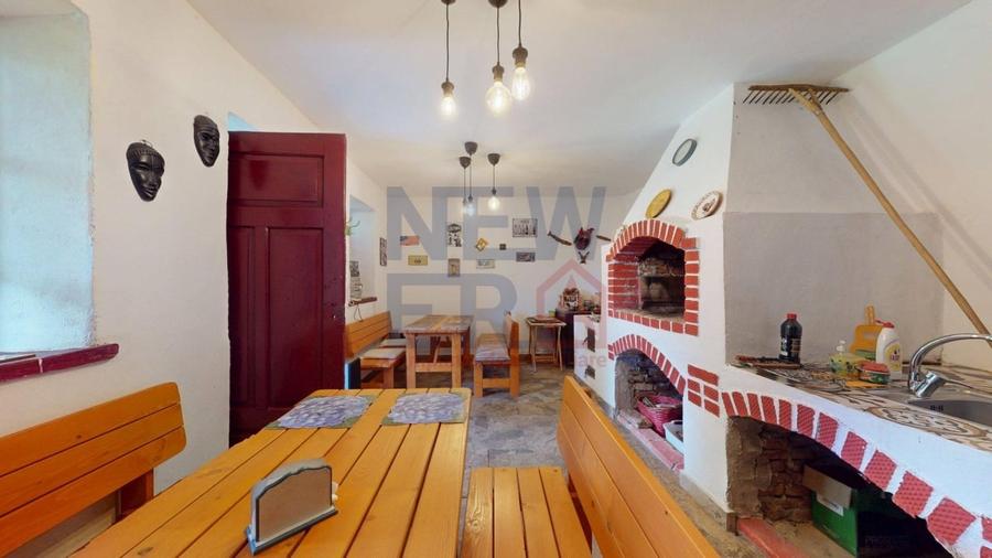 CONACUL GEORGE STEPHANESCU - 3