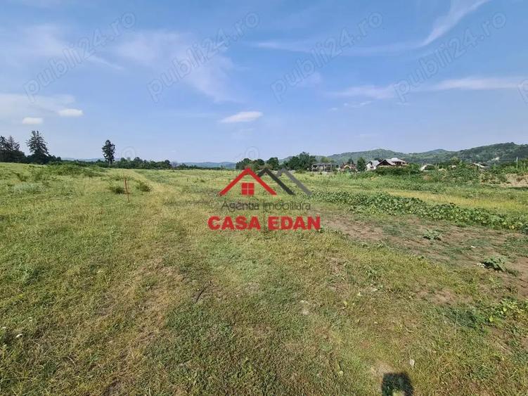 Teren intravilan in Campina, 7500mp--35e - 6