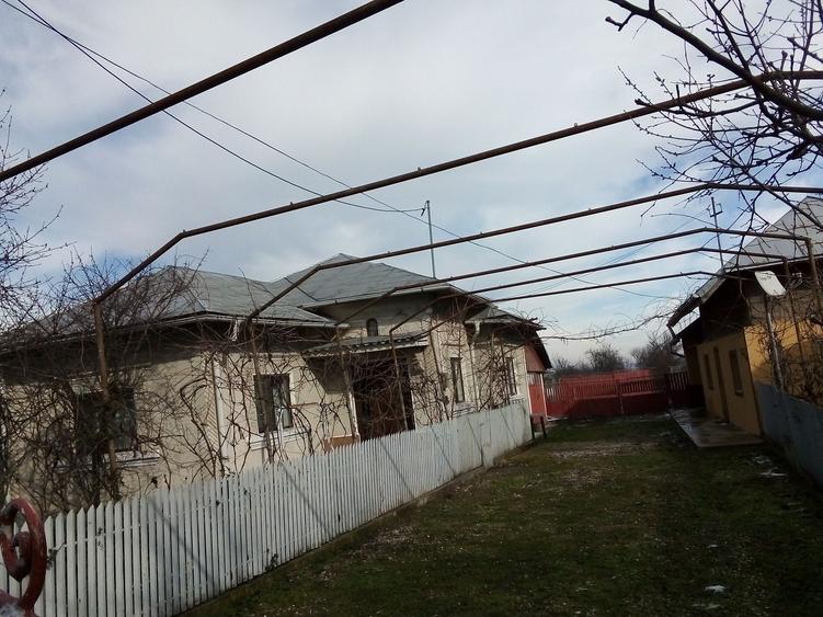 Vand casa si gospodarie - 3