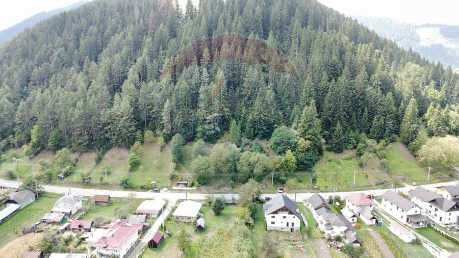 Casă / Vilă 7 camere sat Mădei comuna Borca Jud Neamț - 23