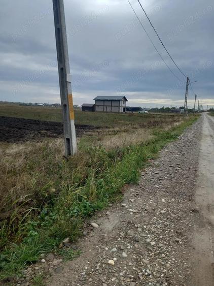 Teren intravilan Maracineni - 4