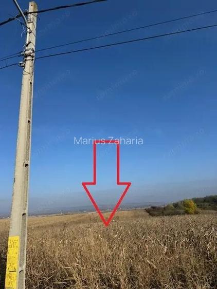 Teren 6.668 mp, de vanzare, loc. BOGDAN VODA, la E-85, com. Saucesti, jud. Bacau