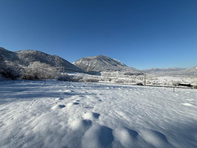 Teren intravilan 500 sau 1000 mp Bran-Tohanita la dum asfaltat - 22