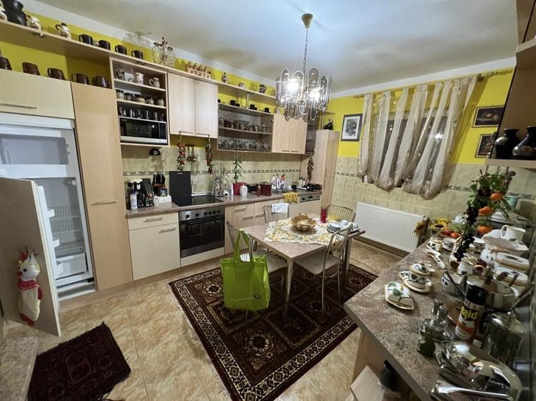 2 case, hala depozitare, teren 3785 mp - 2 F.S. - 22 m, pe malul Begai - 17