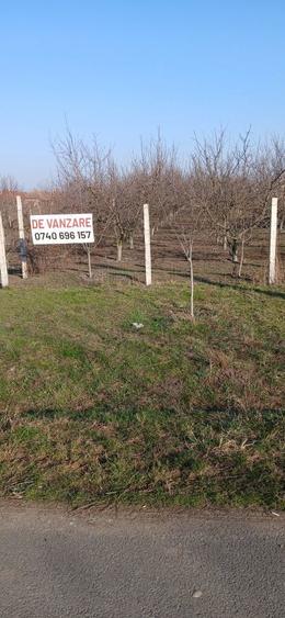 Teren intravilan de vanzare - 3