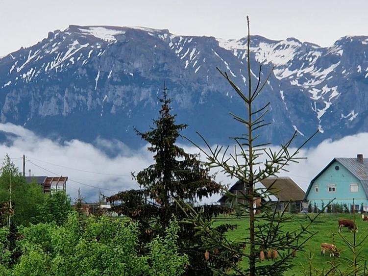 Cabană montană cu panoramă Bucegi & Piatra Craiului – Fundata - 7