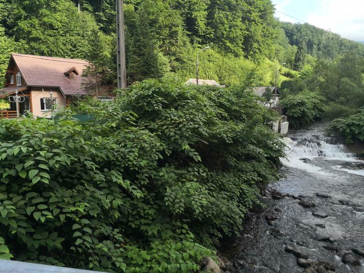 vand casa MM Blidari-Firiza P+M, 300mp + 14 ari teren, 207.000 E - 7