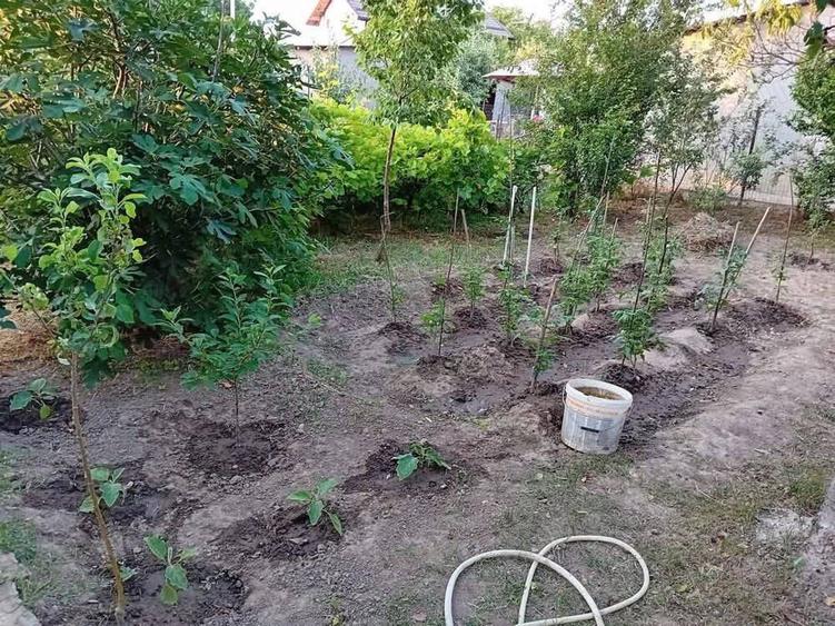 Vand casa sau schimb cu garsoniera confort 1 - 1