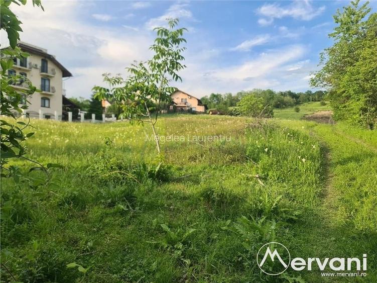 Teren intravilan de vanzare in Campina - Zona Muscel