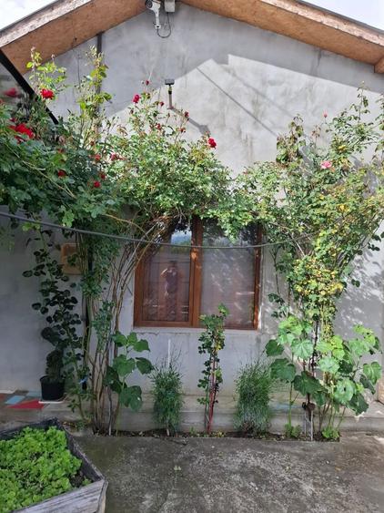 Vand casa in Stefanesti Arges sat Golesti la numai 8 km de Pitesti - 1