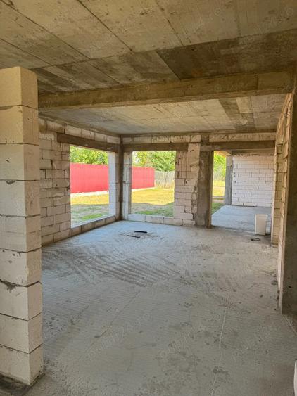 Vand casa Pecica - 2