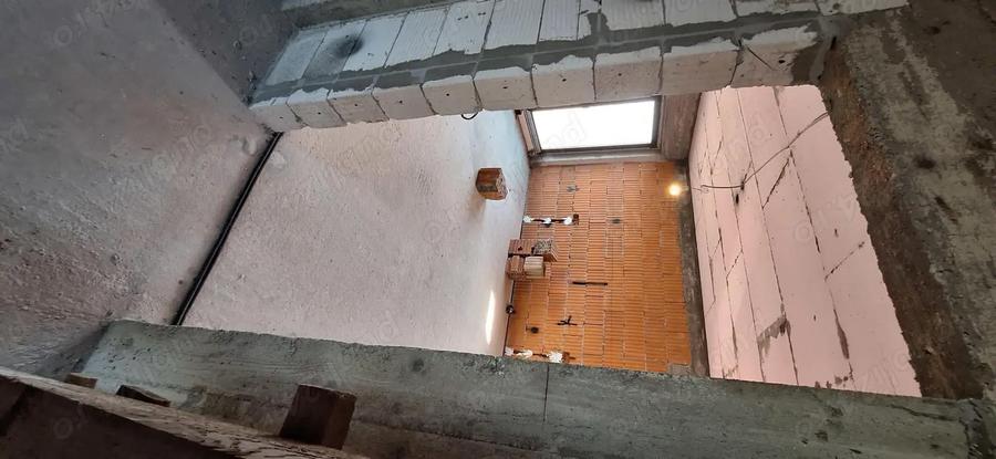 Casa bradu p+1 - 10