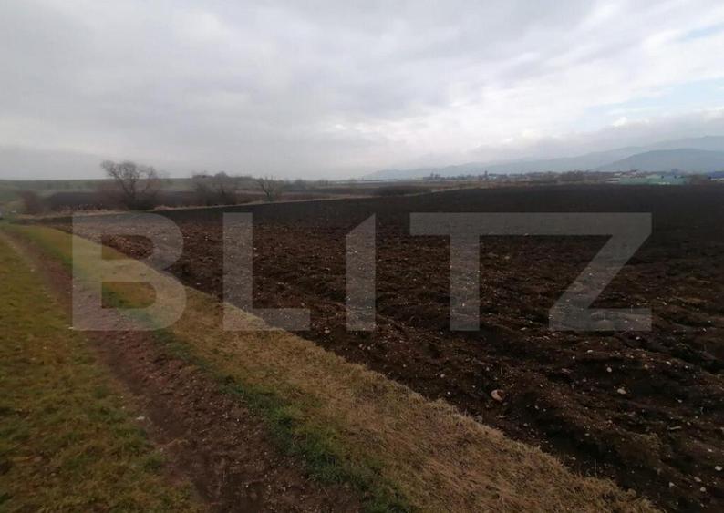 Teren extravilan 21300 mp zona Vintu de Jos - 4