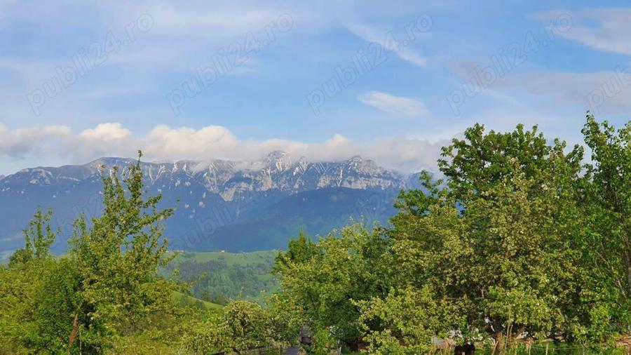 teren extravilan sat pestera jud brasov - 1