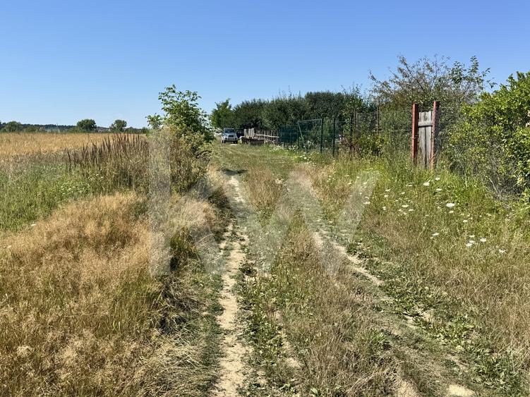 Teren agricol extravilan de 720 mp, în Cisnădie