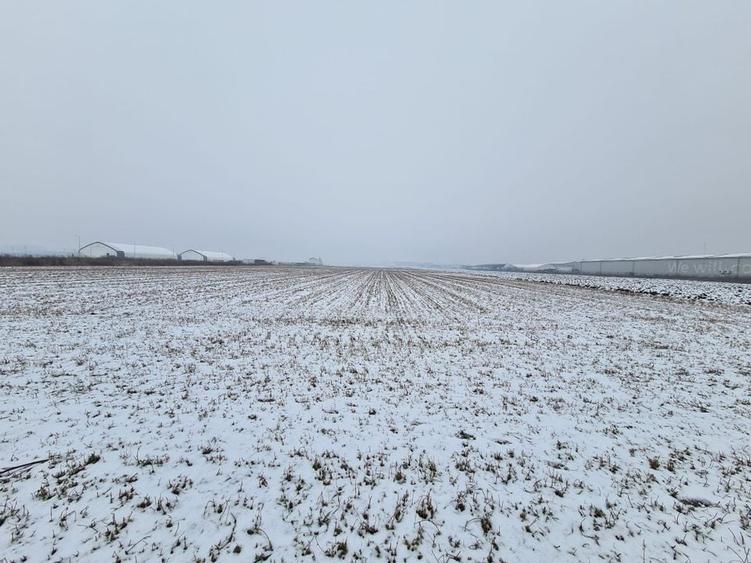 Teren industrial de vanzare in Stupini - 2