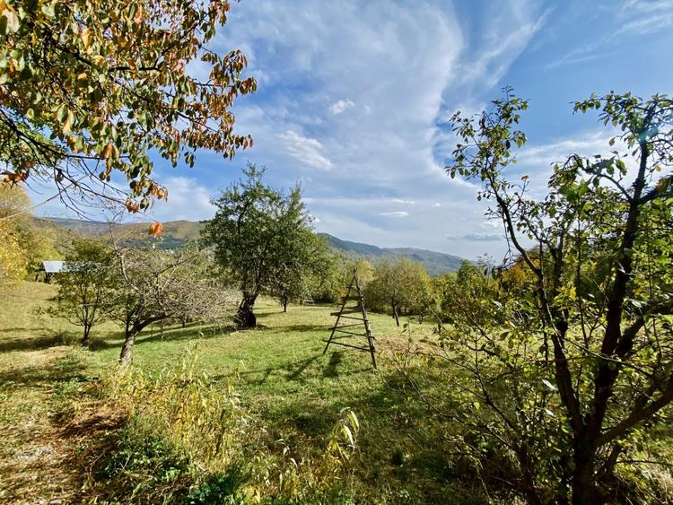 Teren retras panoramic Valea Doftanei 1350 mp panta lina, cu utilitati - 2