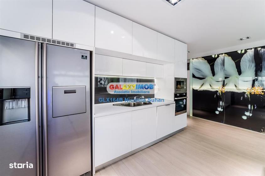 Triplex \/Penthouse Spectaculos Nordului \/ Parc Herastrau - 7