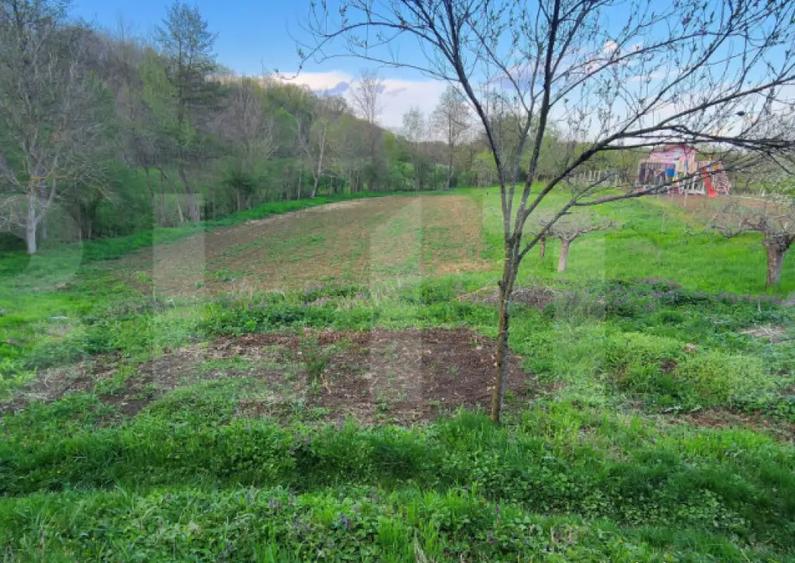 Teren 6650 mp, cu casa nefinalizata de 111 mp, in Nisipoasa - 12