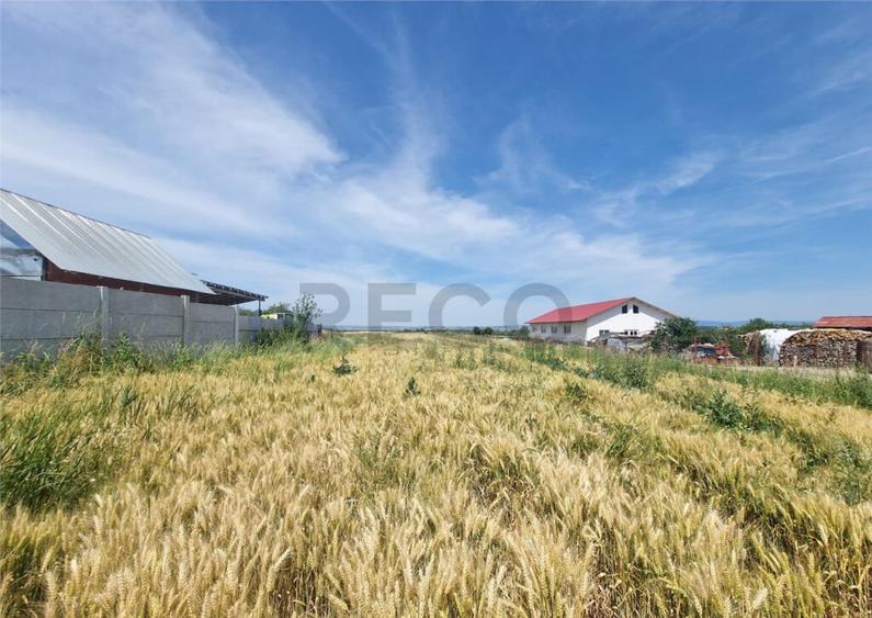 RECO teren intravilan la 15 minute de Metro Oradea - 1