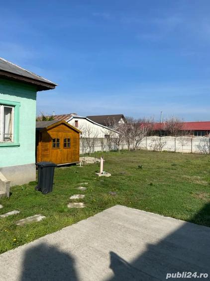 Vand Casa batraneasca - 8