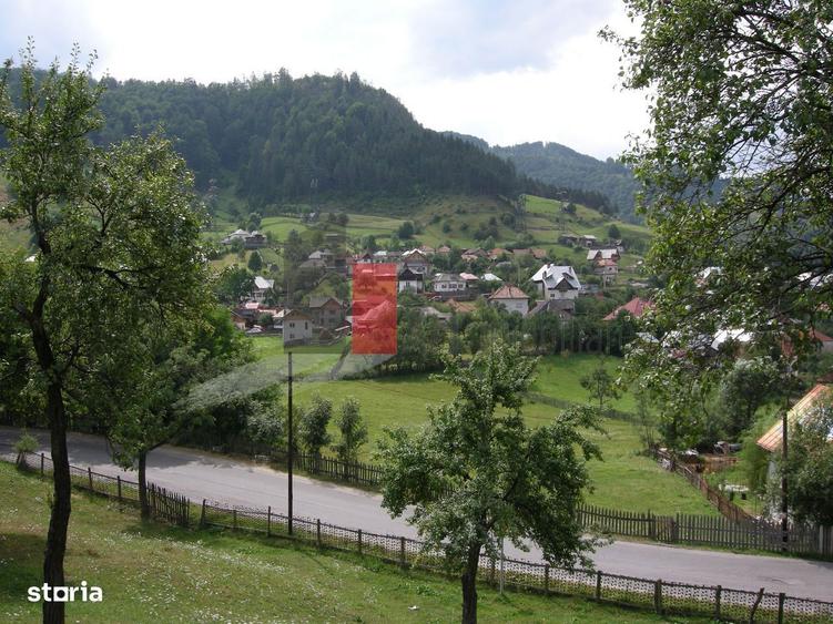 Teren intravilan 3214 mp in Rucar cu deschidere 56 m in DN73 - 6