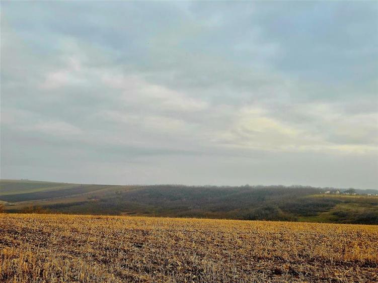 Teren pentru casa cu autorizatie si cu vedere frumoasa - 8