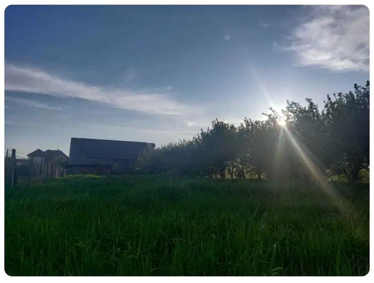 2ooo mp intravilan ingraditi in localitatea Decebal cu front 30 metri - 2