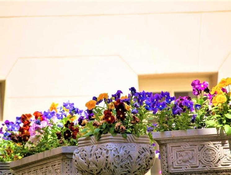 Imobil spectaculos 806 mp, 500mp teren Universitate - 9