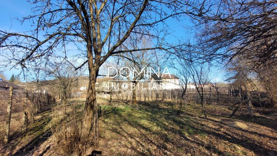 Vanzare casa D+P+1,  situata in comuna Capreni, sat Bulbuceni - 9